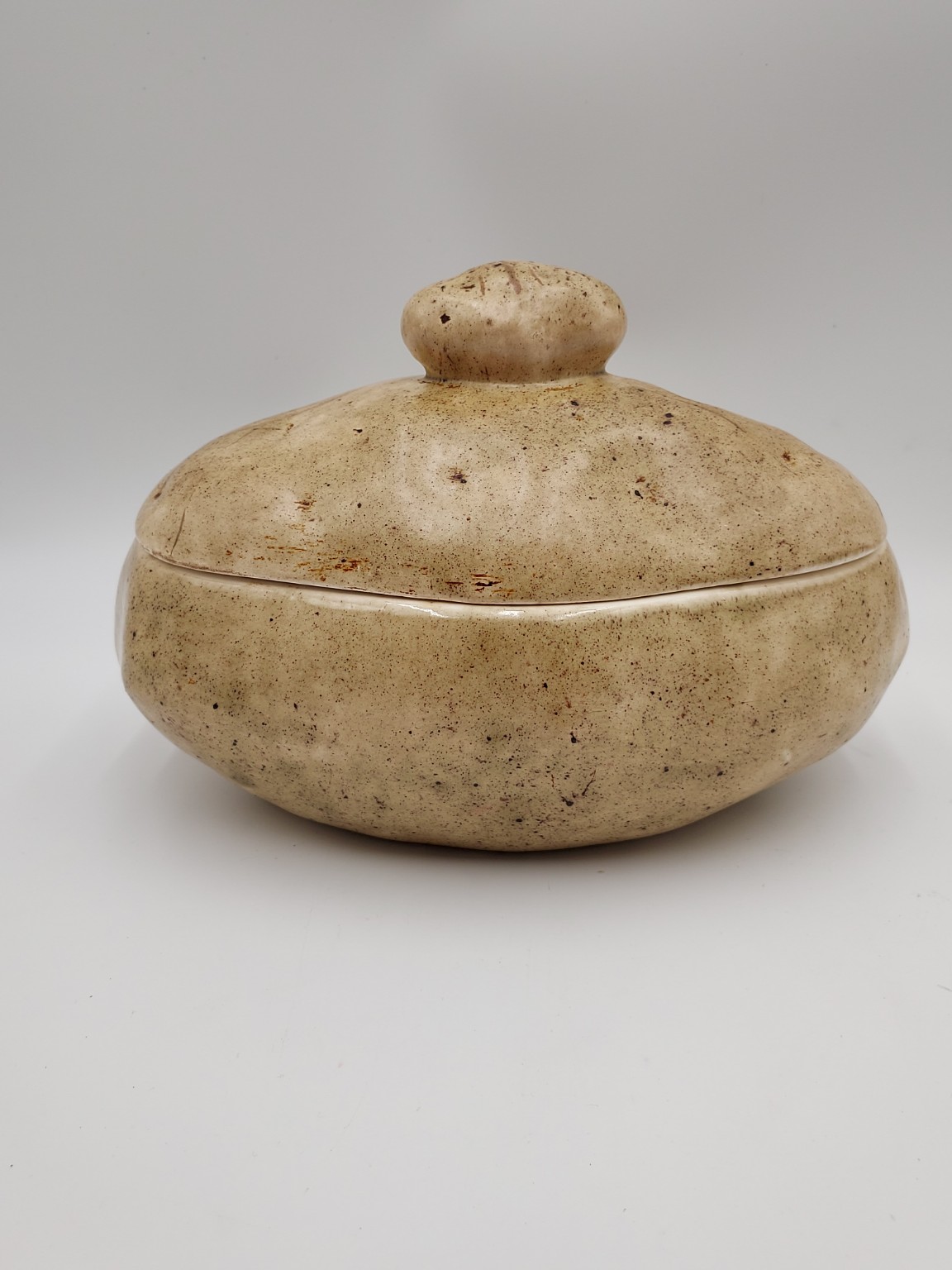 Neutral speckled covered pottery dish